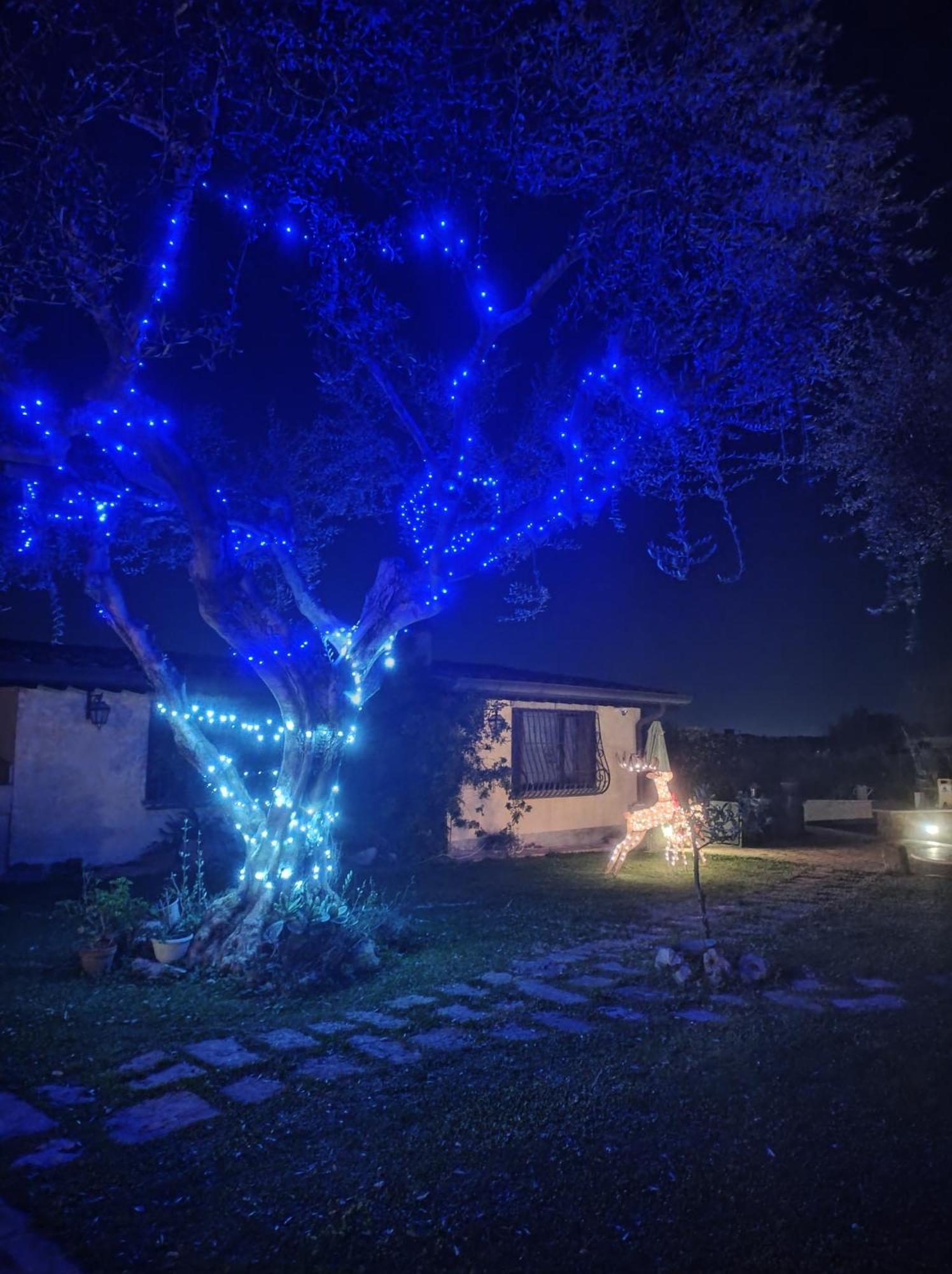 La Valle Dei Casali Com Rzym Zewnętrze zdjęcie